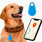 Vandtæt Kirra GPS-tracker til hunde med Apple Find My, uden abonnement