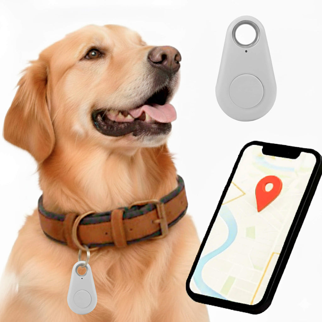 Vandtæt Kirra GPS-tracker til hunde med Apple Find My, uden abonnement