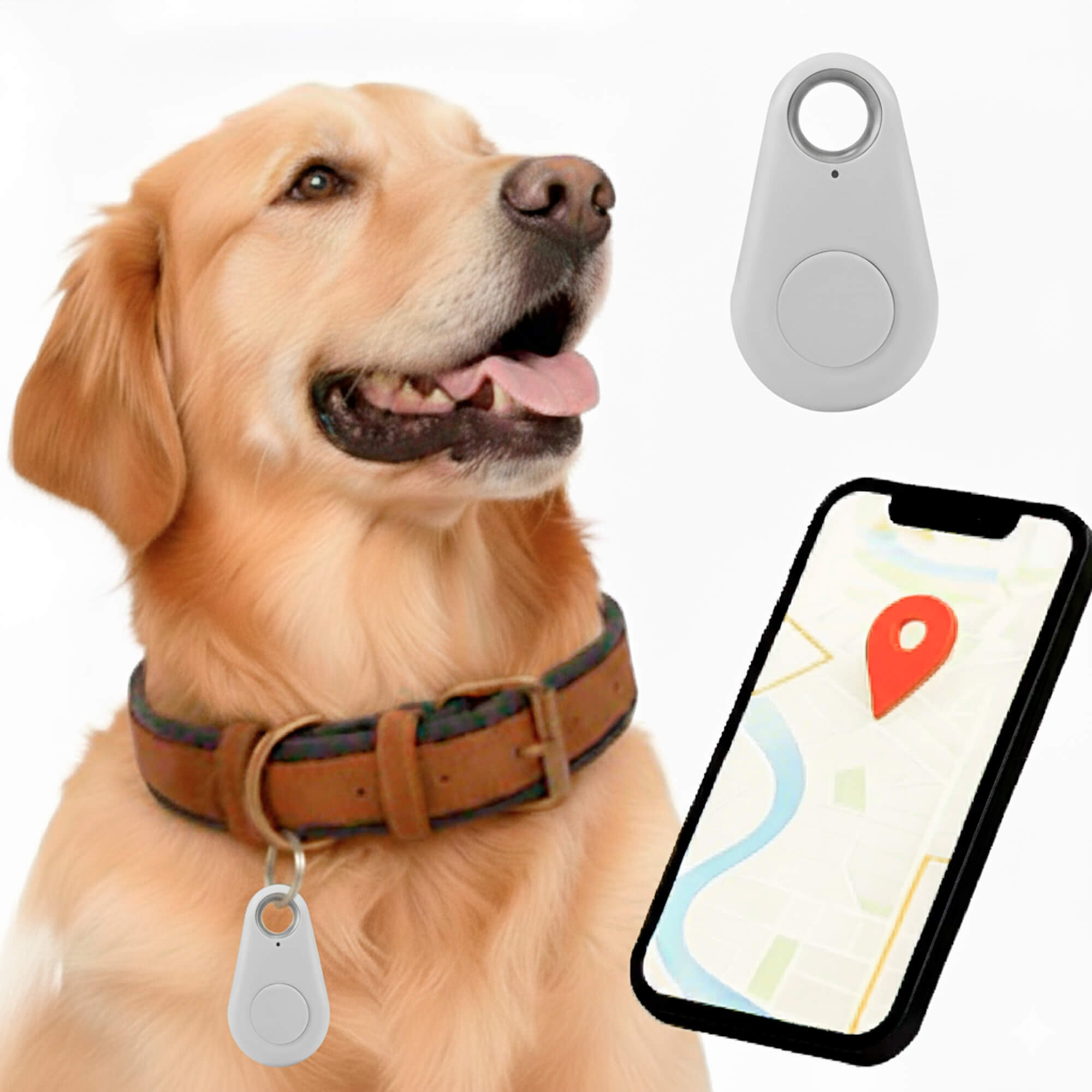 Vandtæt Kirra GPS-tracker til hunde med Apple Find My, uden abonnement