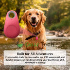 Vandtæt Kirra GPS-tracker til hunde med Apple Find My, uden abonnement
