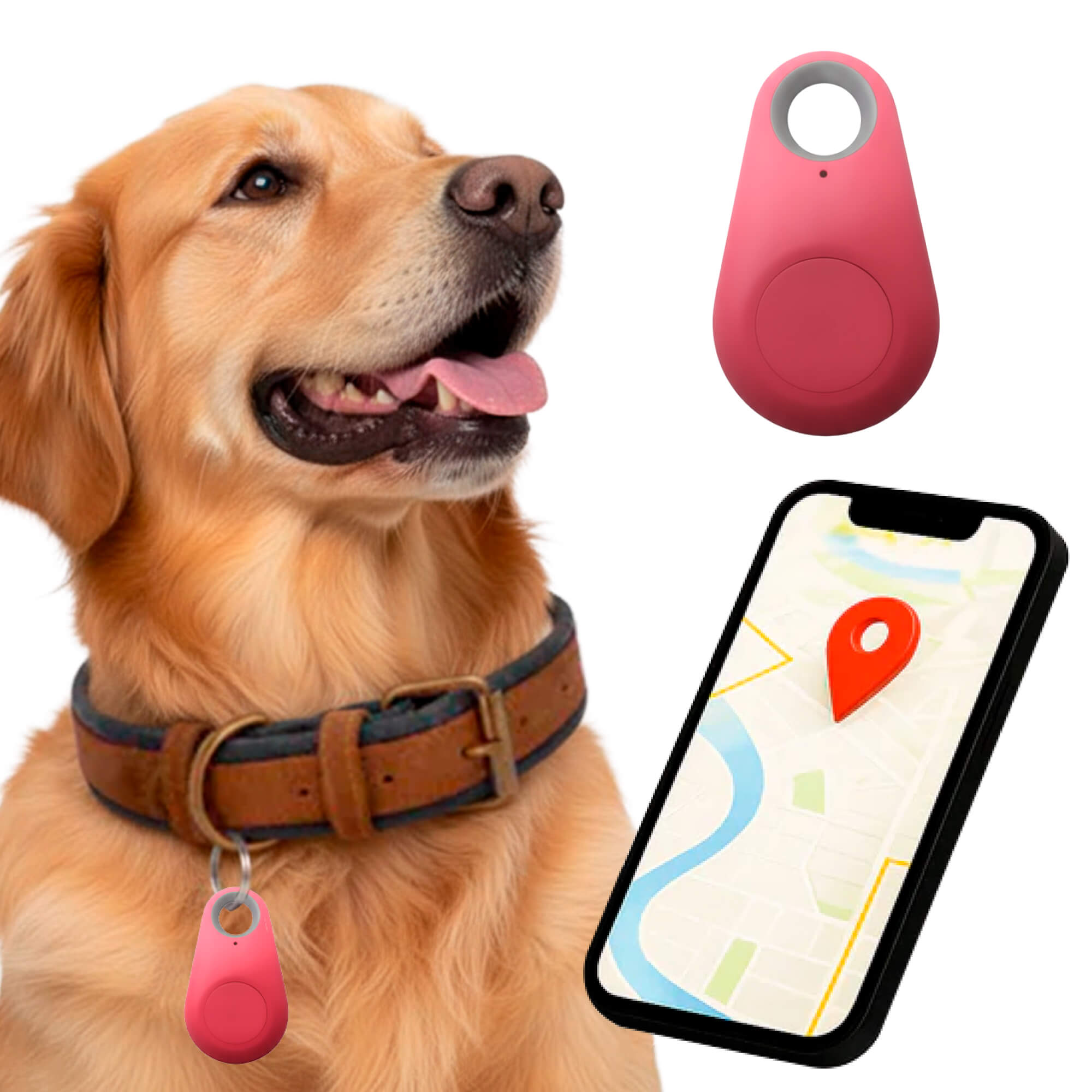 Vandtæt Kirra GPS-tracker til hunde med Apple Find My, uden abonnement