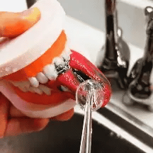 Irrigador oral portátil e kit de branqueamento para limpeza dos dentes | Fioriscas