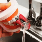 Irrigador oral portátil e kit de branqueamento para limpeza dos dentes | Fioriscas
