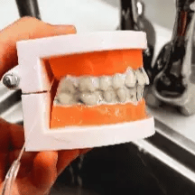 Irrigador oral portátil e kit de branqueamento para limpeza dos dentes | Fioriscas