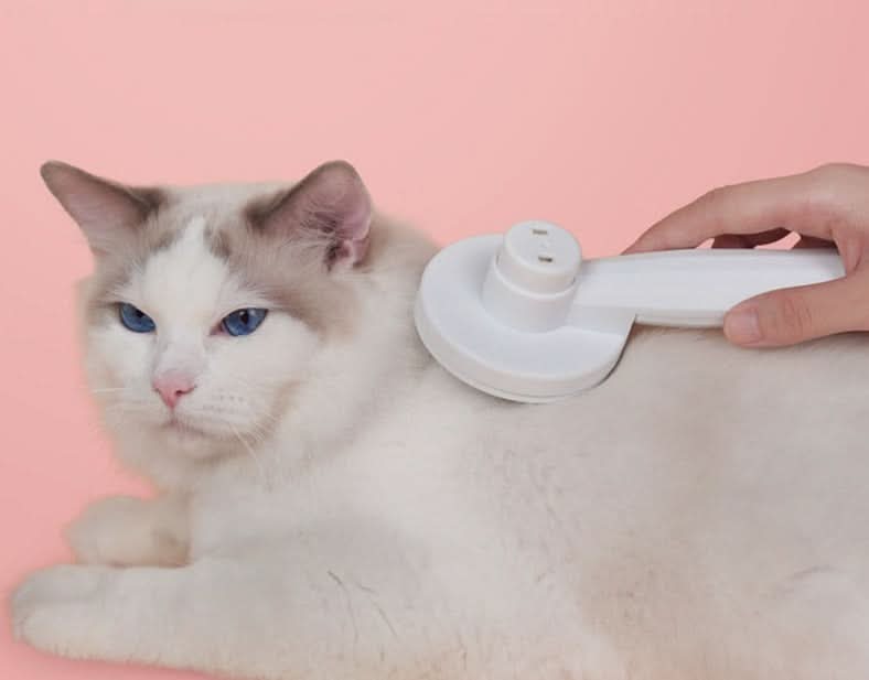 Spazzola autopulente per gatti, per ridurre la perdita di pelo - Fioriscas
