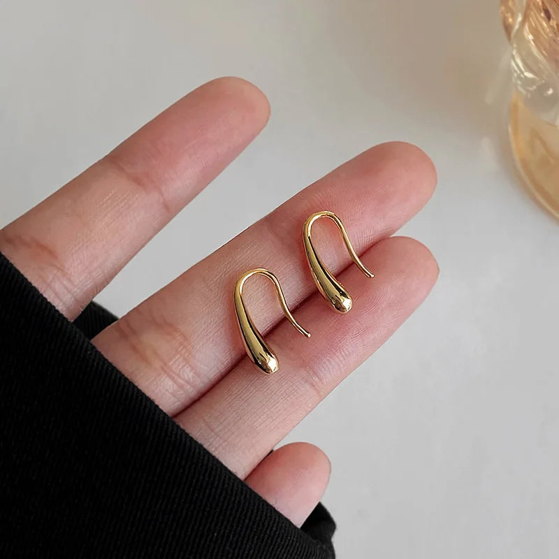S925 Dainty Droplet Hook Earrings