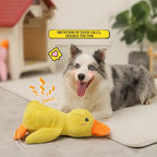 Juguete relajante de pato de peluche para perros, ideal para entretenimiento enriquecedor | Fioriscas