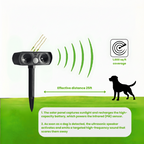 Disuasor solar de perros activado por movimiento para patios, entradas de vehículos y espacios exteriores | Fioriscas