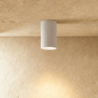 AuroraRidge LED válcové stropní svítidlo černý povrch