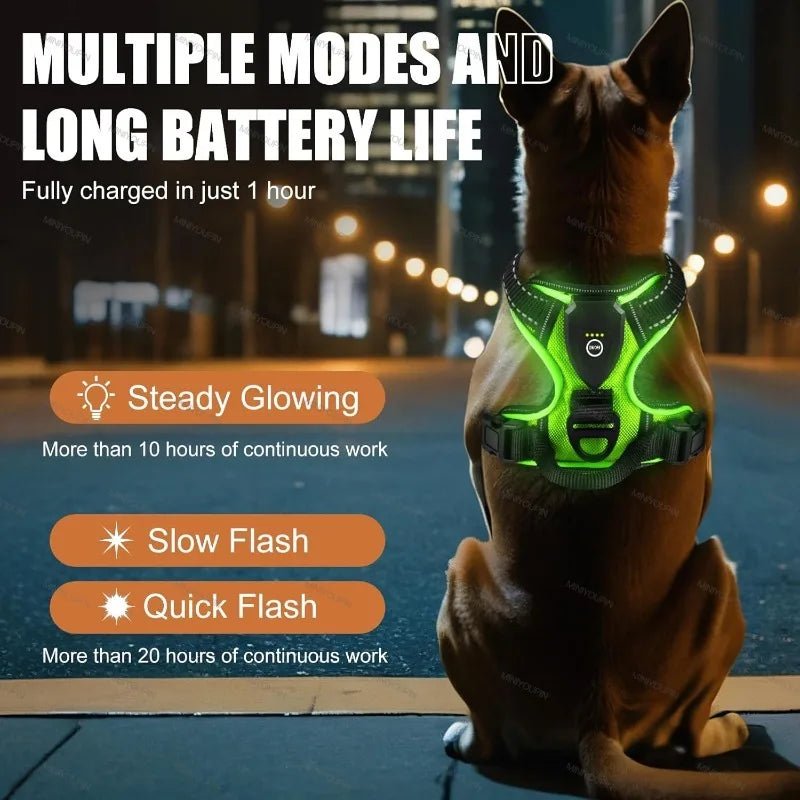 Rechargeable LED Dog Harness for Increased Safety at Night - Fioriscas