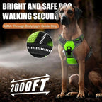 Rechargeable LED Dog Harness for Increased Safety at Night - Fioriscas