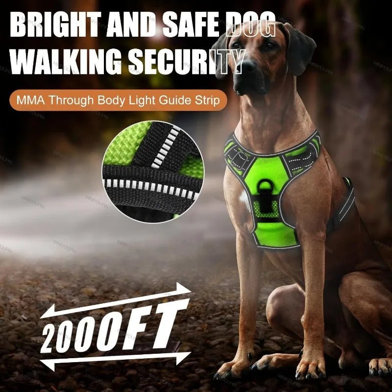 Rechargeable LED Dog Harness for Increased Safety at Night - Fioriscas