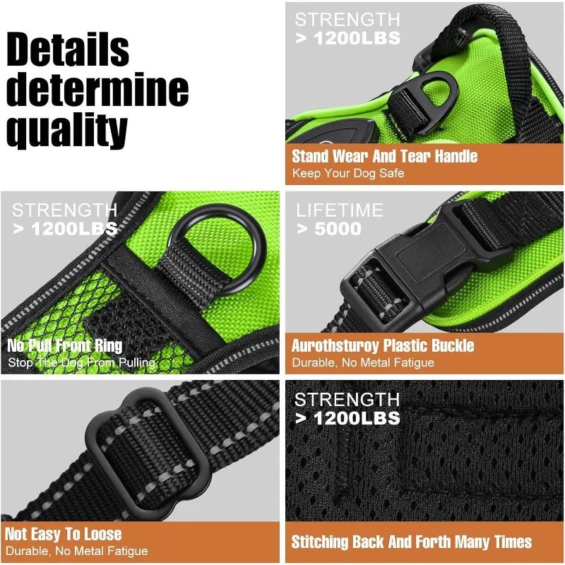Rechargeable LED Dog Harness for Increased Safety at Night - Fioriscas