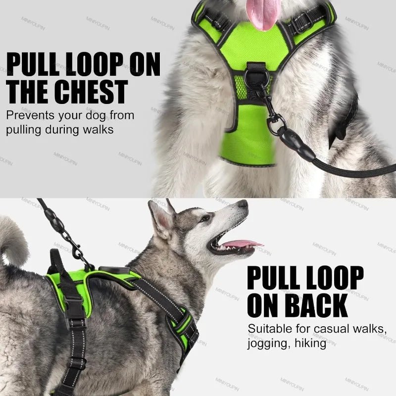 Rechargeable LED Dog Harness for Increased Safety at Night - Fioriscas