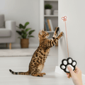 Interactive Cat Laser Toy - 5 Adjustable Light Patterns - Fioriscas