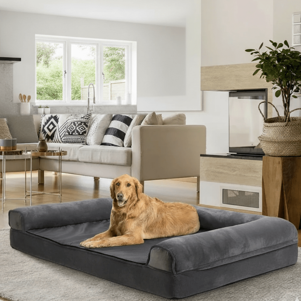 Cuccia ortopedica per cani in memory foam con copertura idrorepellente e comfort morbido - Fioriscas