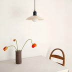 Aira  Pendant Light Modern  Colorful Dome-shaped | Fioriscas