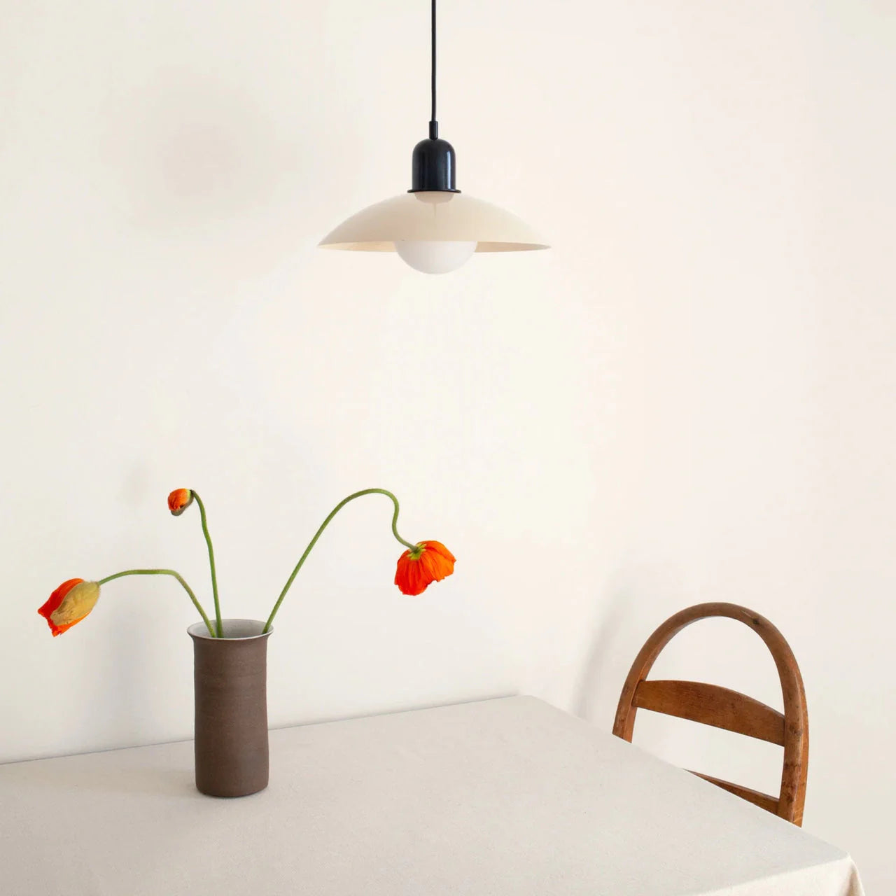 Aira  Pendant Light Modern  Colorful Dome-shaped | Fioriscas