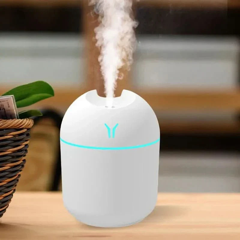 USB mini zvlhčovač s funkcí aromaterapie - Fioriscas