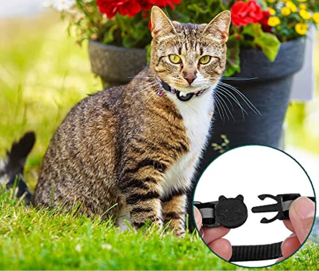 Collier pour chat avec support de traceur GPS, réfléchissant et à ouverture rapide