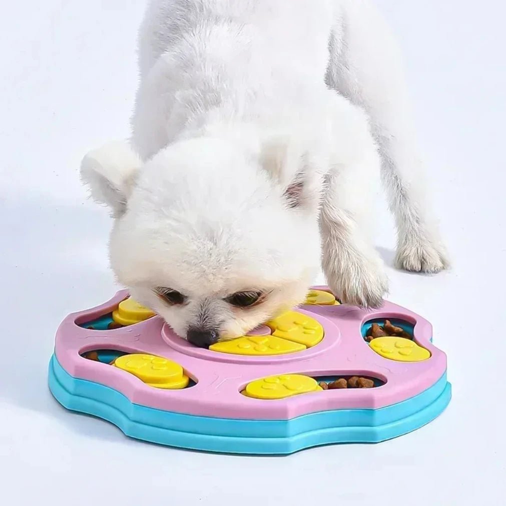 Jouet-puzzle à alimentation lente pour animaux de toutes tailles - Fioriscas