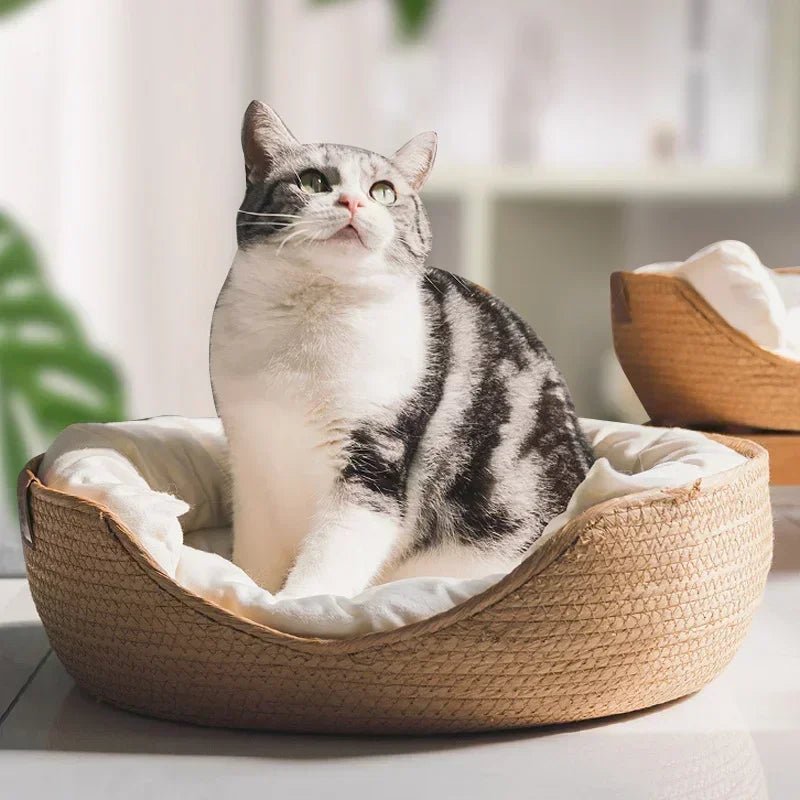 Milieuvriendelijke kattenbank met ademend katoendesign - Fioriscas