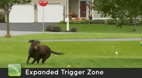 ZenGuard Pro trådløst hundehegn med vandtæt træningshalsbånd