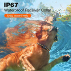 Waterproof Remote Dog Training Collar With Vibration, Beep & Static Modes