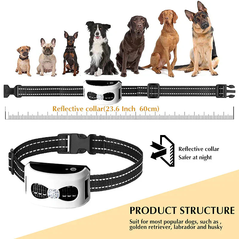 2-in-1 Wireless Fence & Training Collar Built for Active Dogs