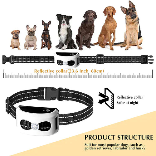 2-in-1 Wireless Fence & Training Collar Built for Active Dogs