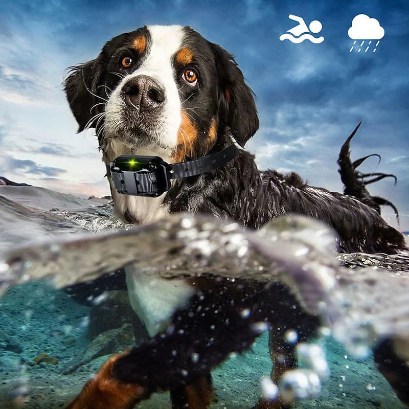 KairoPaw-koulutuspanta koirille, kantama 300 m