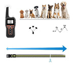 ZenRidge Training Collar For Dogs, Rechargeable & Waterproof, 1000m Range