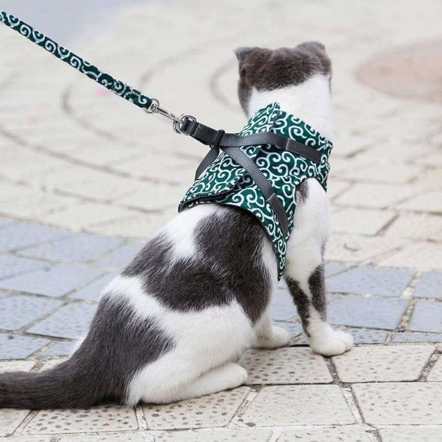 Katzengeschirr-Weste für Sicherheit und Komfort - Fioriscas