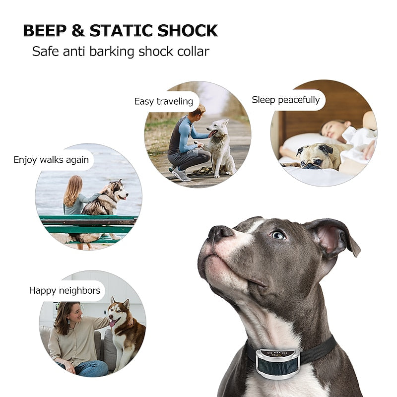 CanineGuard Pro -haukunestopanta, säädettävä herkkyys, ladattava, kaikille roduille