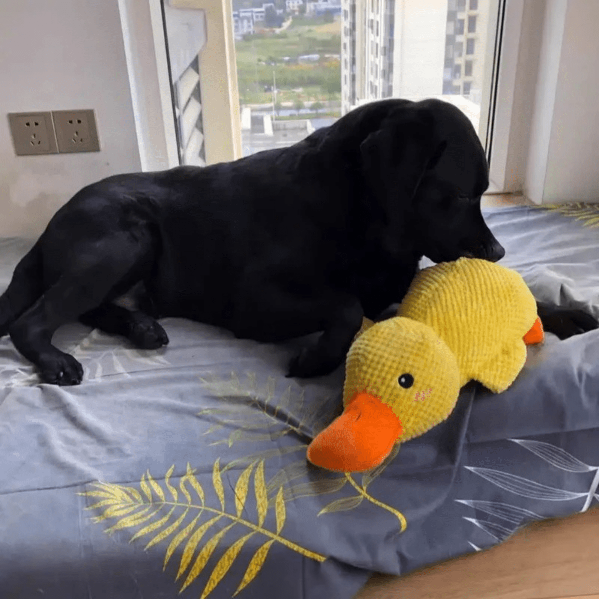 SnuggleBeak pluche speelgoed - piepend hondenspeelgoed - Fioriscas