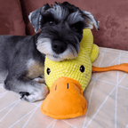 SnuggleBeak pluche speelgoed - piepend hondenspeelgoed - Fioriscas