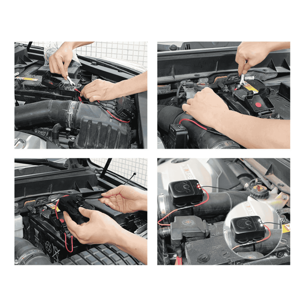Engine Bay Protection Against Mice & Rat Damage | Fioriscas