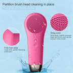 3-in-1 Facial Brush for Radiant, Healthy Skin - Fioriscas
