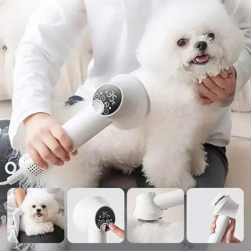 Gentle Drying & Brushing for a Relaxed Coat Care Experience - Fioriscas
