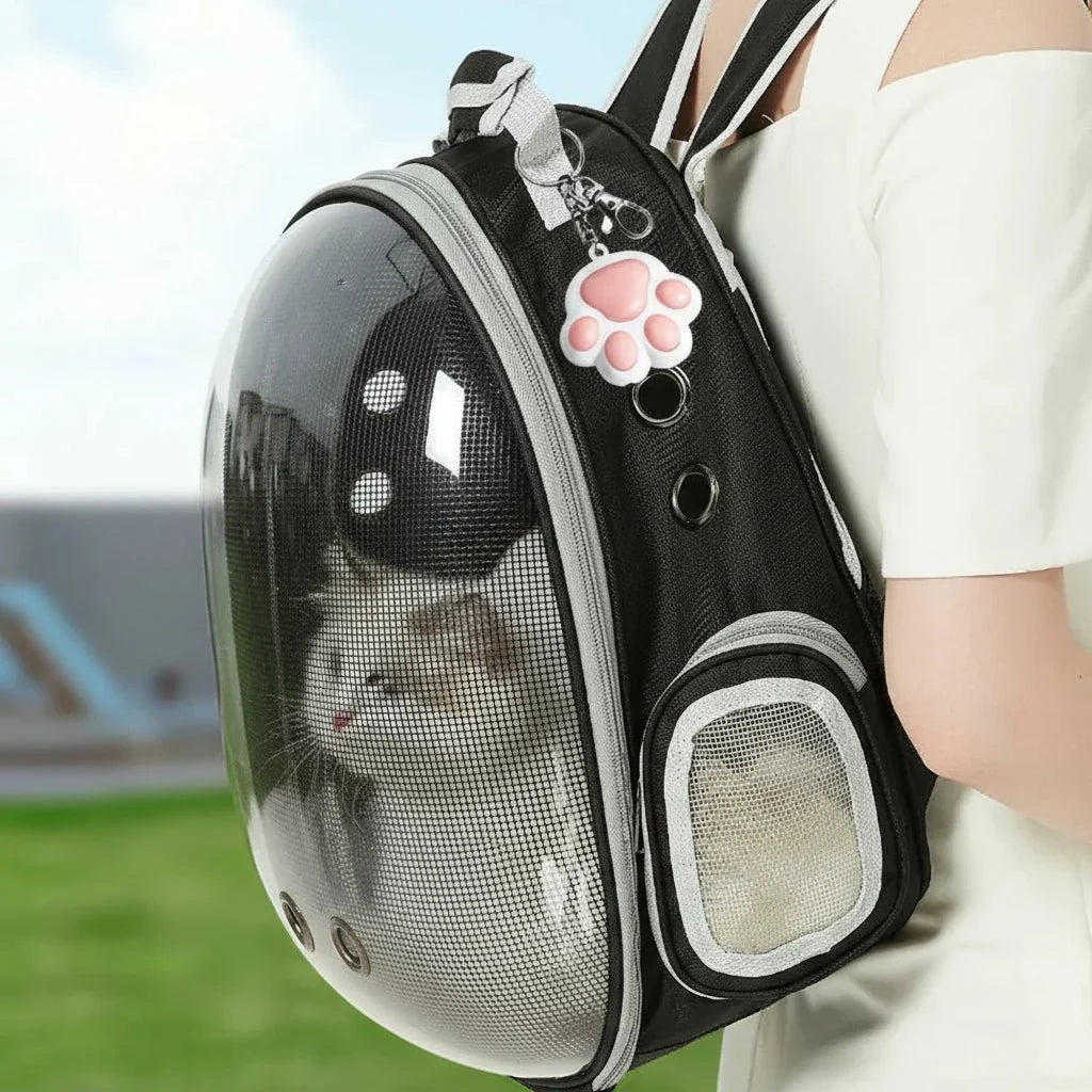 Interactive Cat Laser Toy - 5 Adjustable Light Patterns - Fioriscas