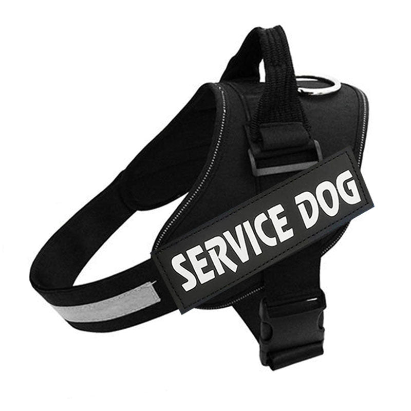 PawGuard Pro -koiranvaljaat säädettävällä talutushihnajärjestelmällä