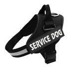 PawGuard Pro -koiranvaljaat säädettävällä talutushihnajärjestelmällä
