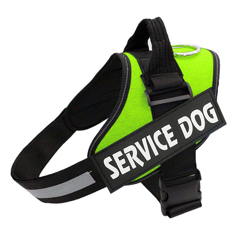 PawGuard Pro -koiranvaljaat säädettävällä talutushihnajärjestelmällä