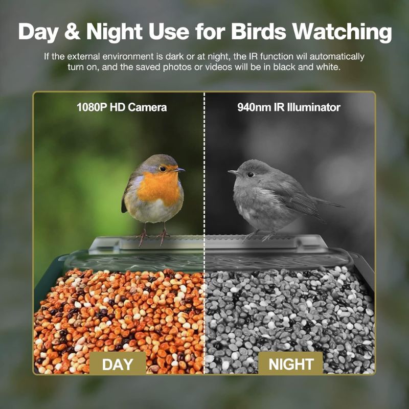 Smarter Bird Feeder with HD Camera for Live Wildlife Observation - Fioriscas