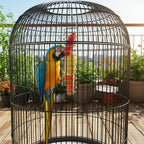 Robust stainless steel parrot food dispenser for long-term use - Fioriscas