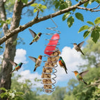 Robust stainless steel parrot food dispenser for long-term use - Fioriscas