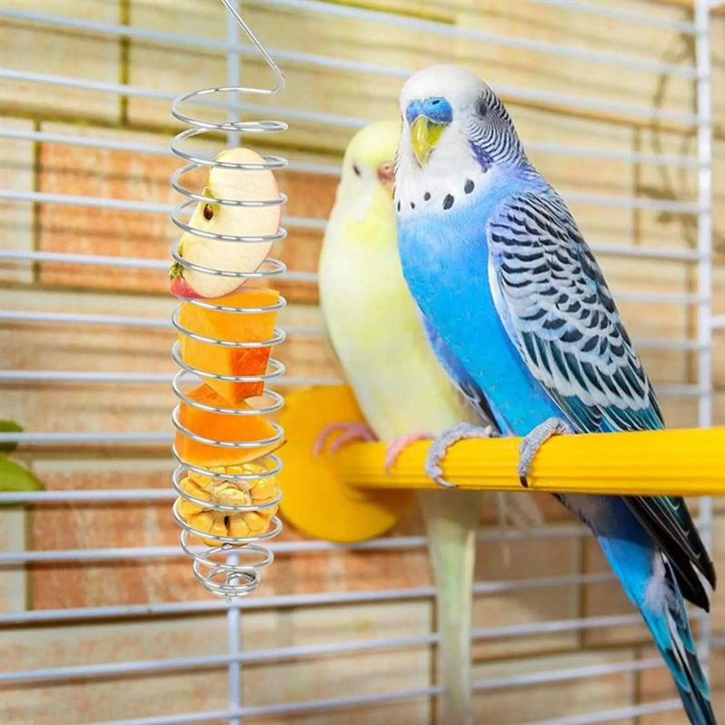 Robust stainless steel parrot food dispenser for long-term use - Fioriscas