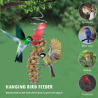Robust stainless steel parrot food dispenser for long-term use - Fioriscas