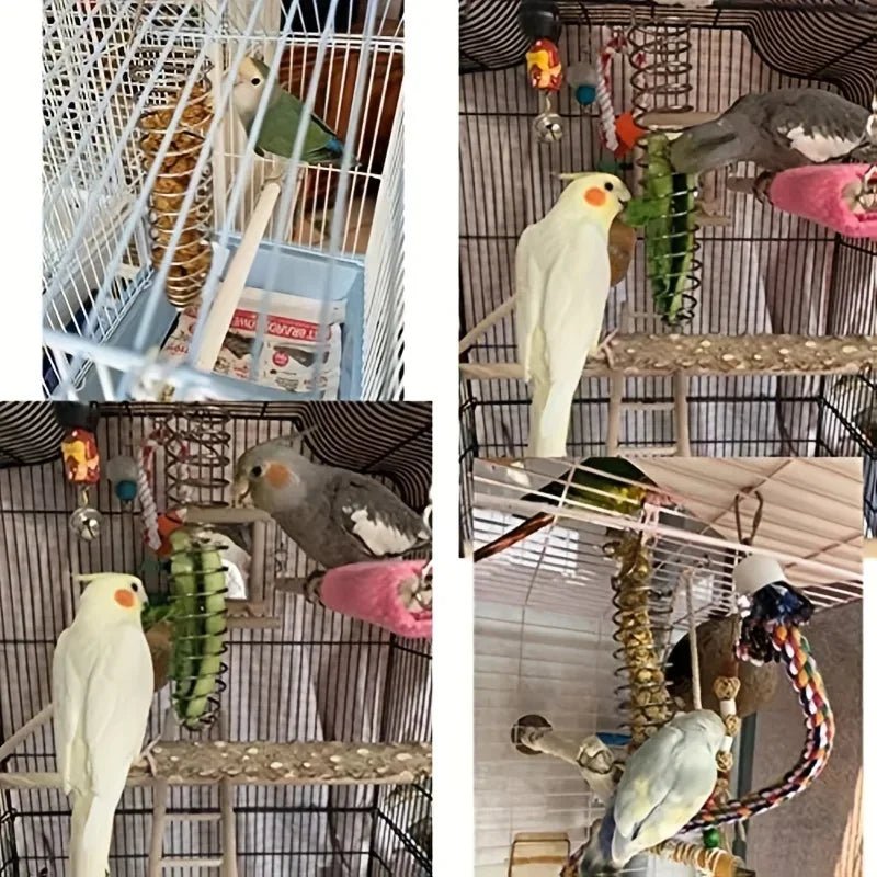Robust stainless steel parrot food dispenser for long-term use - Fioriscas