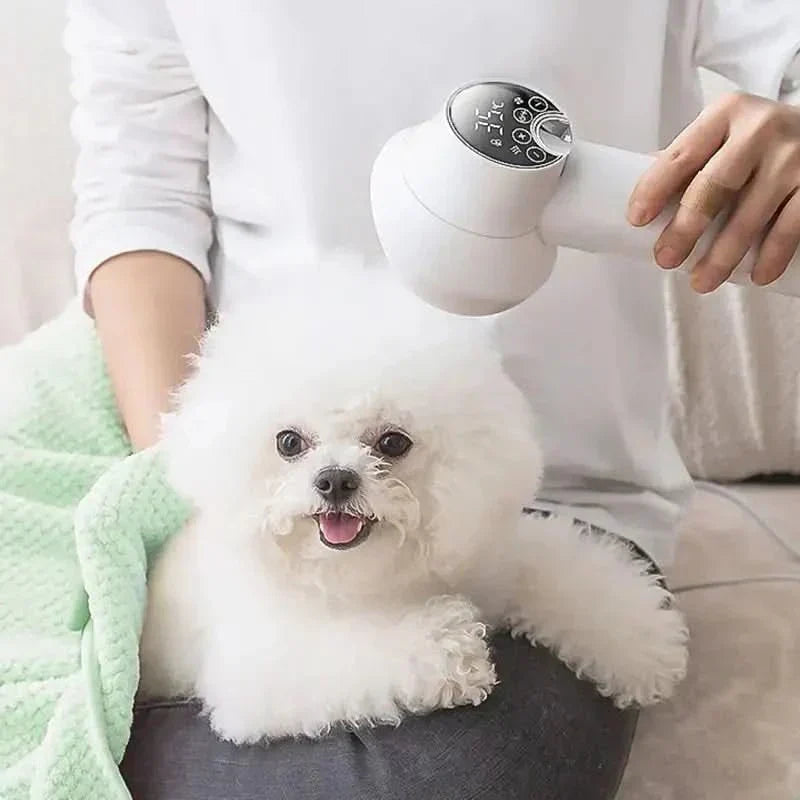Gentle Drying & Brushing for a Relaxed Coat Care Experience - Fioriscas